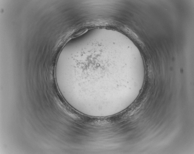 X0000070880537200607150148