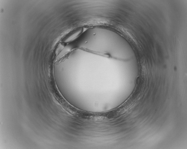 X0000070880539200607150149