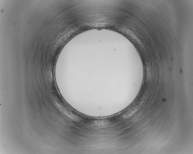 X0000070880541200607150149