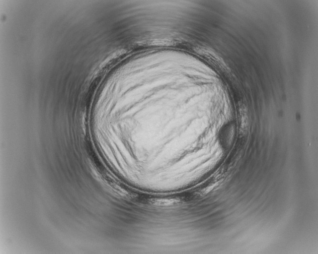 X0000070880542200607150149