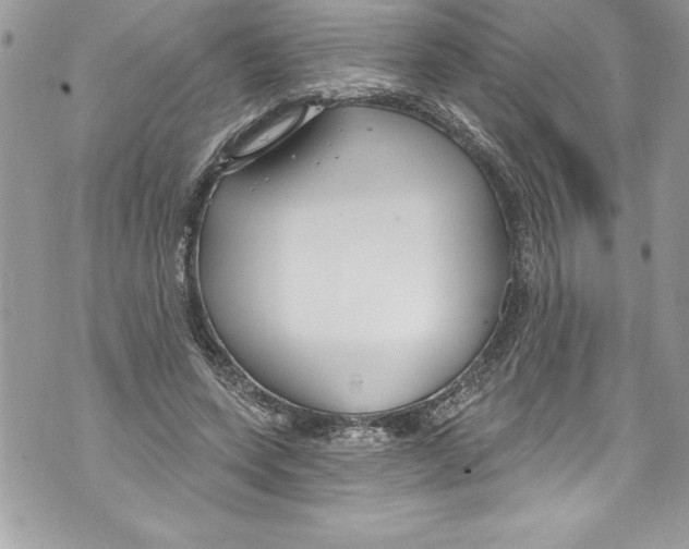 X0000070880543200607150149