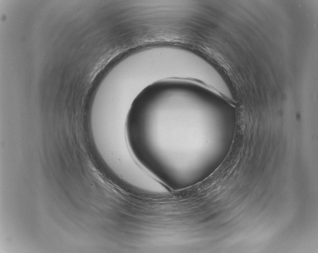 X0000070880544200607150149