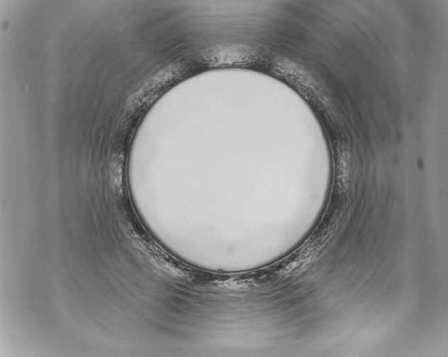 X0000070880545200607150149