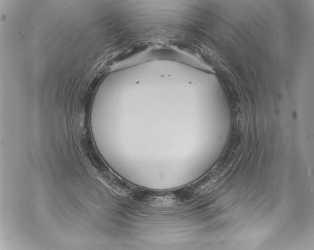 X0000070880548200607150149