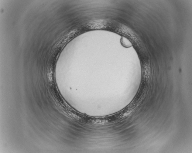 X0000070880549200607150149