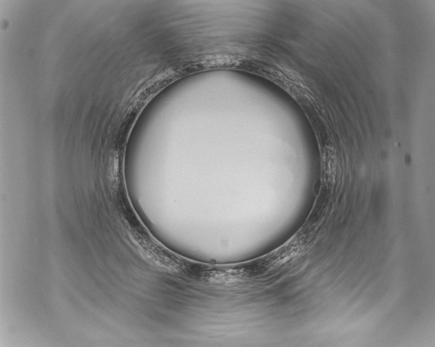 X0000070880550200607150149