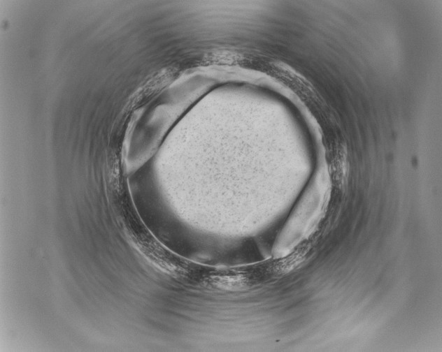 X0000070880552200607150149