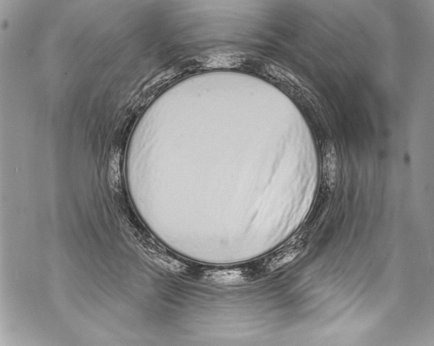 X0000070880554200607150149