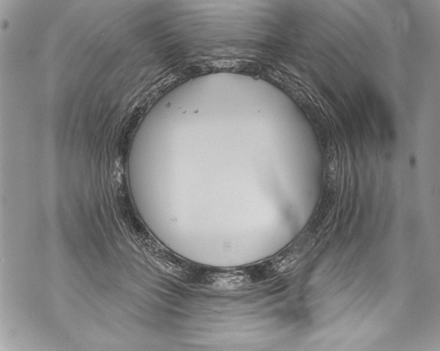 X0000070880555200607150149