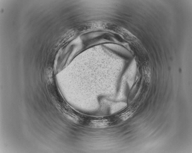 X0000070880556200607150149