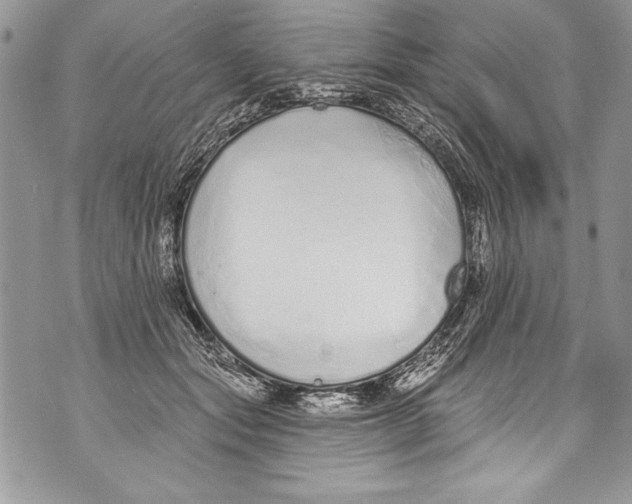 X0000070880557200607150149