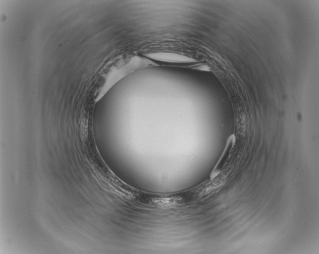 X0000070880558200607150149