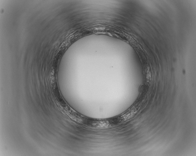 X0000070880559200607150149