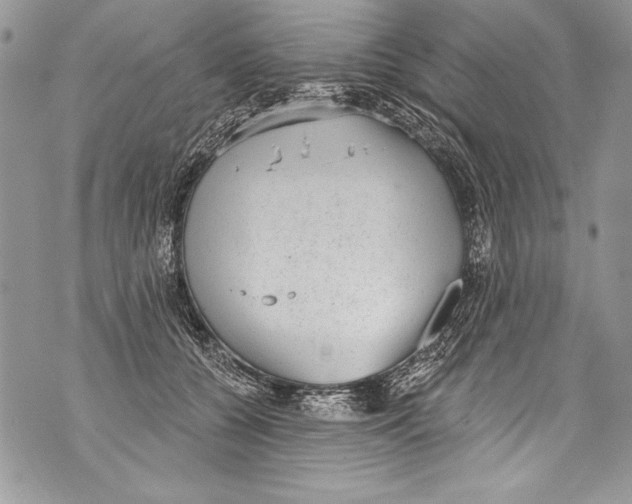 X0000070880560200607150149