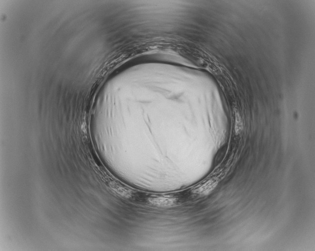 X0000070880561200607150149