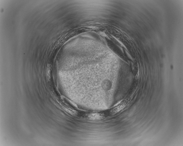 X0000070880562200607150149