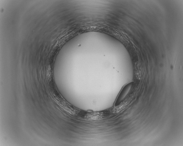 X0000070880563200607150149