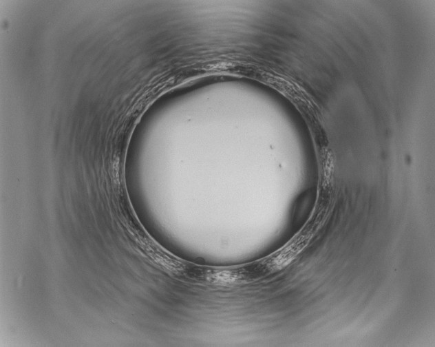 X0000070880565200607150149