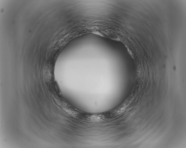 X0000070880566200607150149