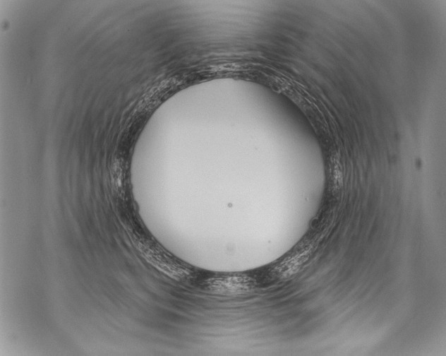 X0000070880567200607150149