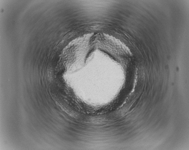 X0000070880568200607150149