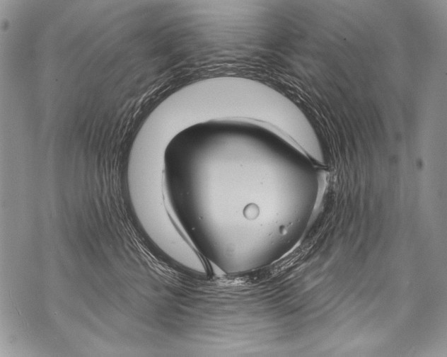 X0000070880570200607150149