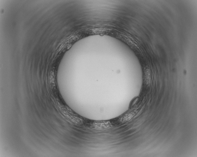 X0000070880571200607150149