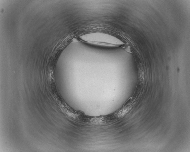 X0000070880574200607150149