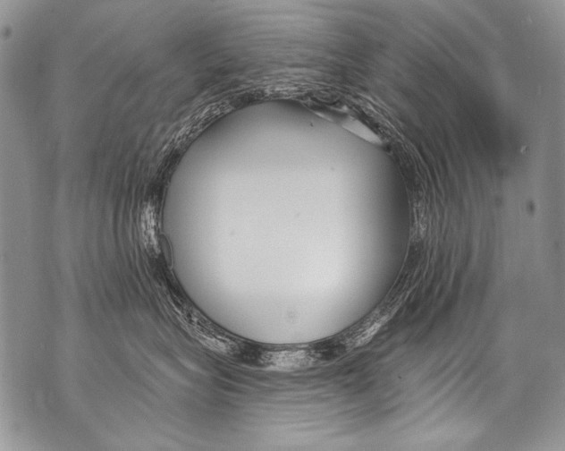 X0000070880575200607150149