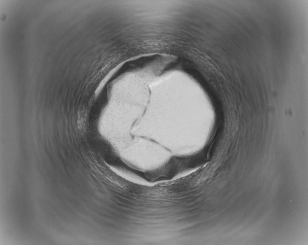 X0000070880576200607150149