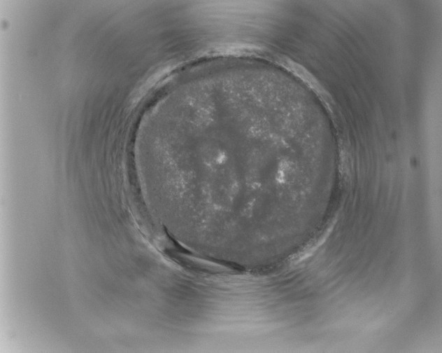 X0000070880577200607150148