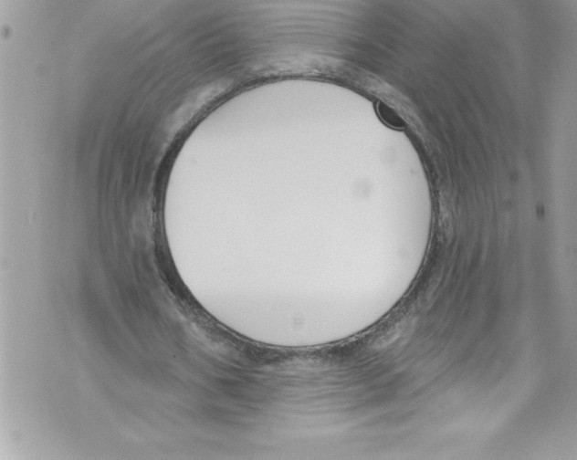 X0000070880578200607150148