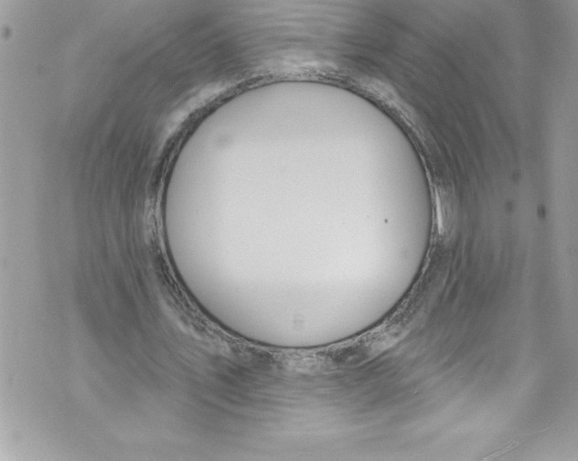 X0000070880579200607150148