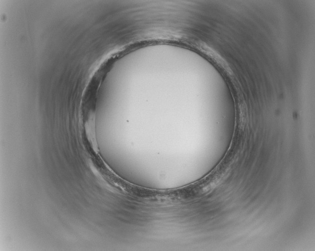 X0000070880580200607150148