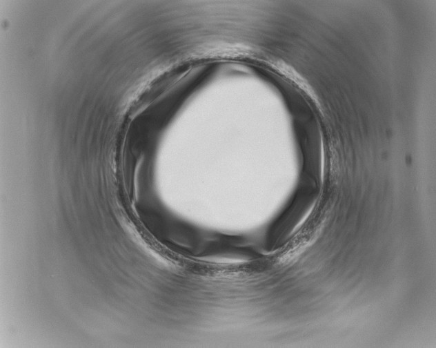 X0000070880581200607150148