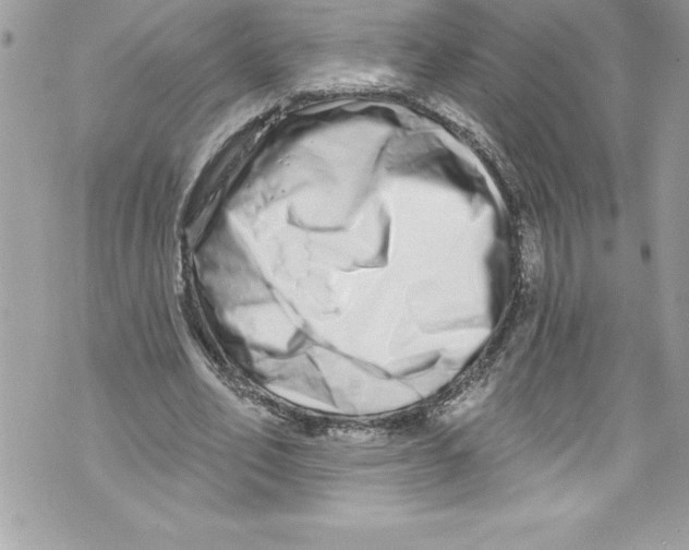 X0000070880582200607150148