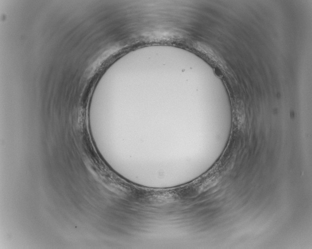 X0000070880583200607150148