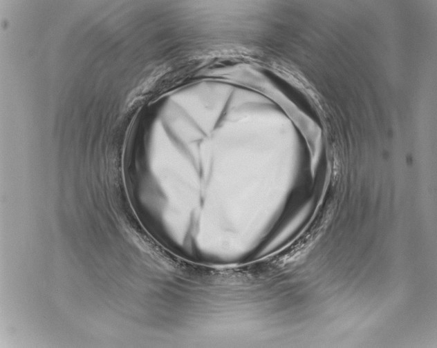 X0000070880585200607150148