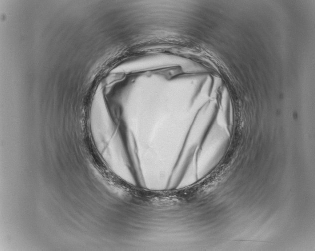 X0000070880586200607150148