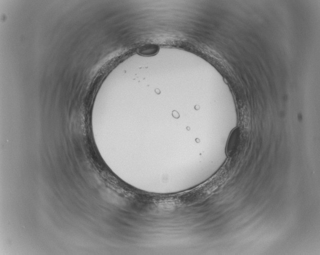 X0000070880587200607150148