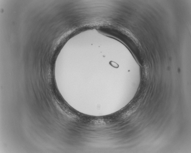 X0000070880588200607150148