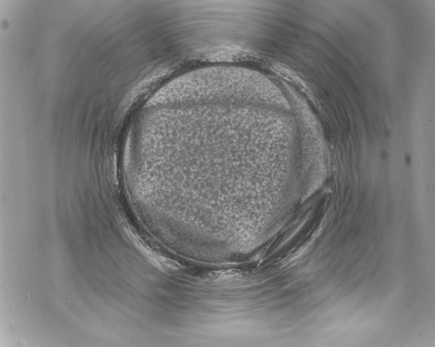 X0000070880589200607150148