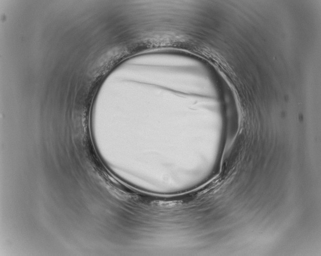 X0000070880590200607150148