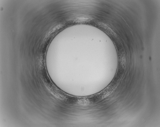 X0000070880591200607150148