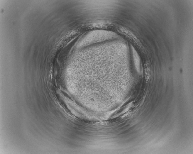 X0000070880593200607150148