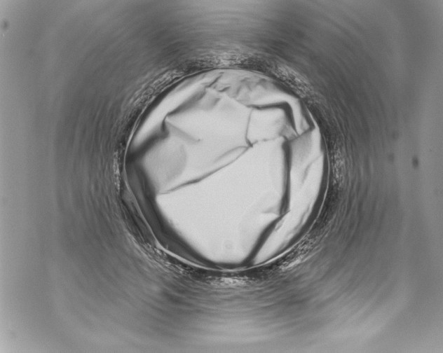 X0000070880594200607150148