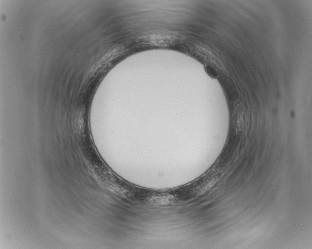 X0000070880595200607150148