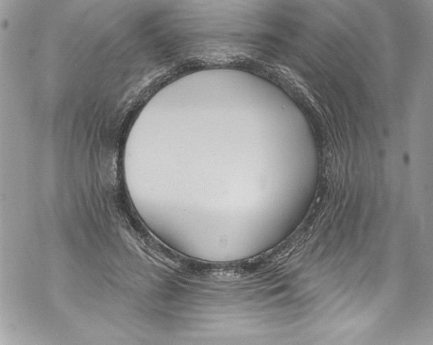 X0000070880596200607150148