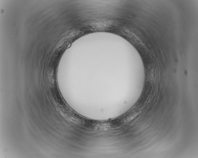 X0000070880599200607150148