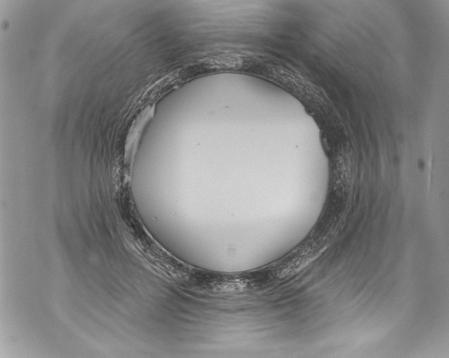 X0000070880600200607150148